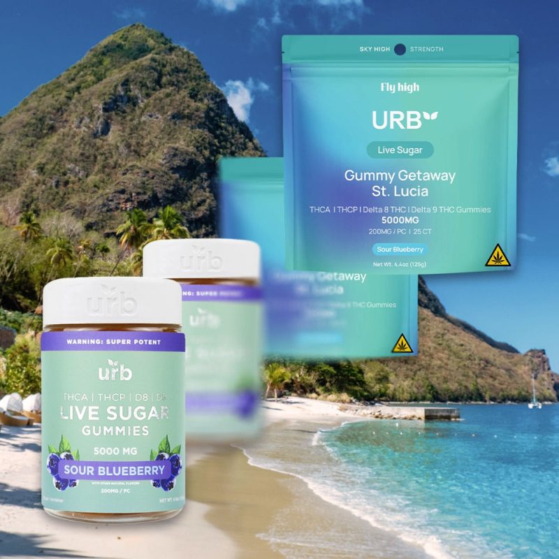 DestinationBKG GummyGetawayStLucia LiveSugar 5000mg SourBlueberry