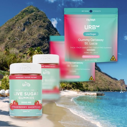 DestinationBKG GummyGetawayStLucia LiveSugar 5000mg StrawberryShortcake