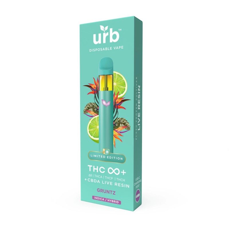 thc infinity disposable 3ml gruntz